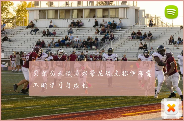 贝尔戈米谈马尔蒂尼观点称伊布需不断学习与成长